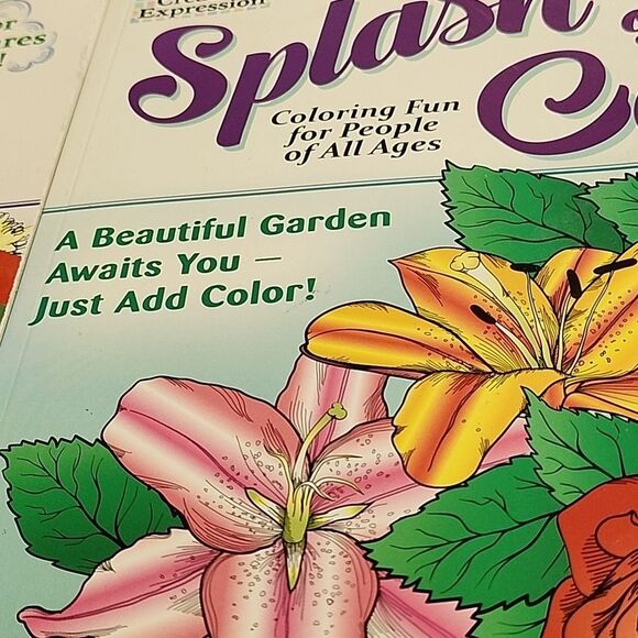 Set of Two Adult Coloring Books from Penny Ptess - Picture 3 of 3